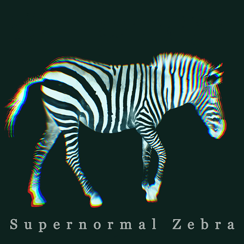 Supernormal Zebra - Blake Johnson - Lofi Artist